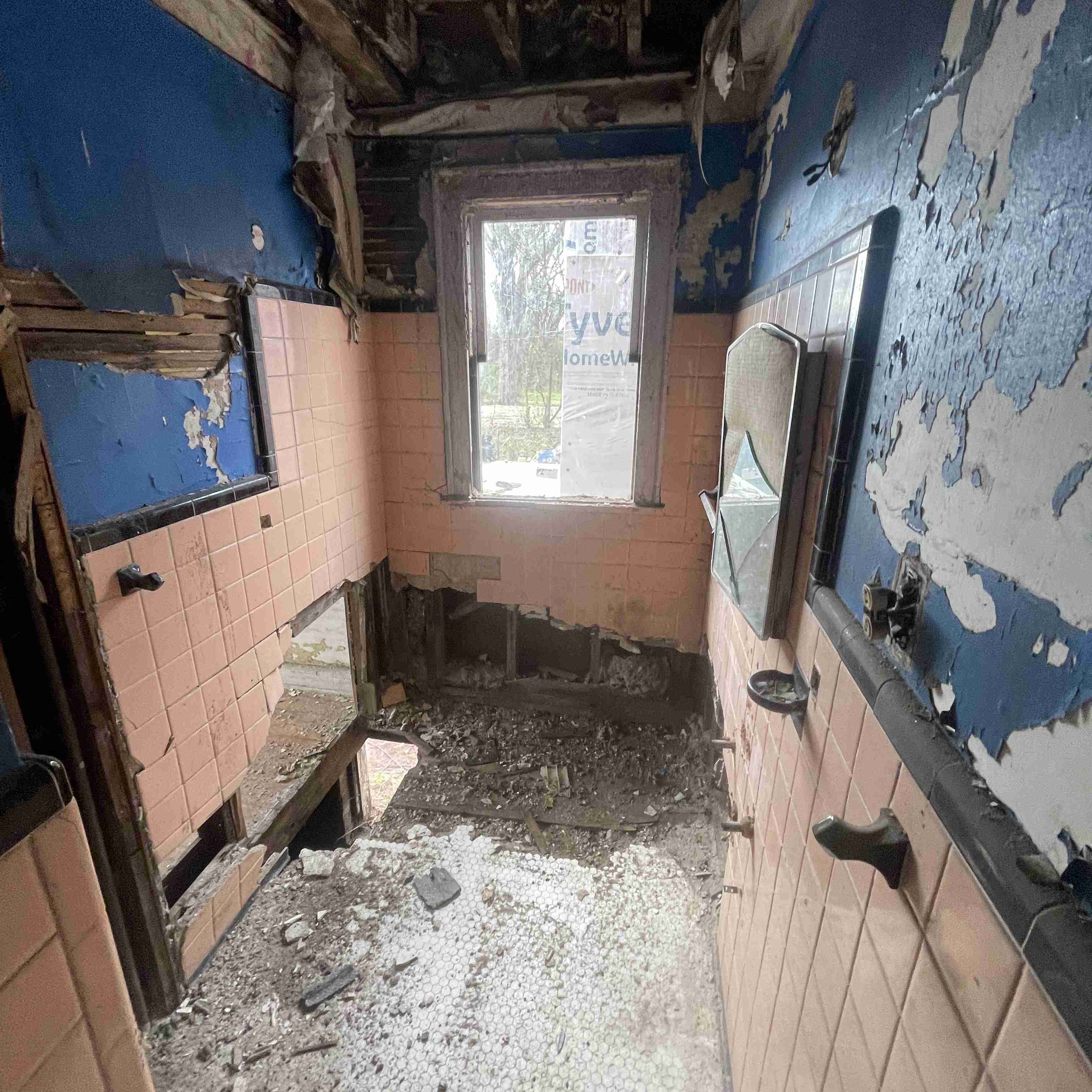 4039 Tuxedo (71).jpg